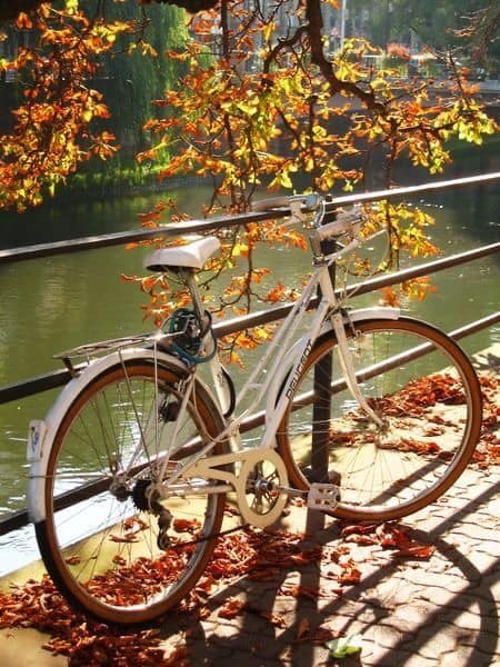 magasin bicyclette buchy