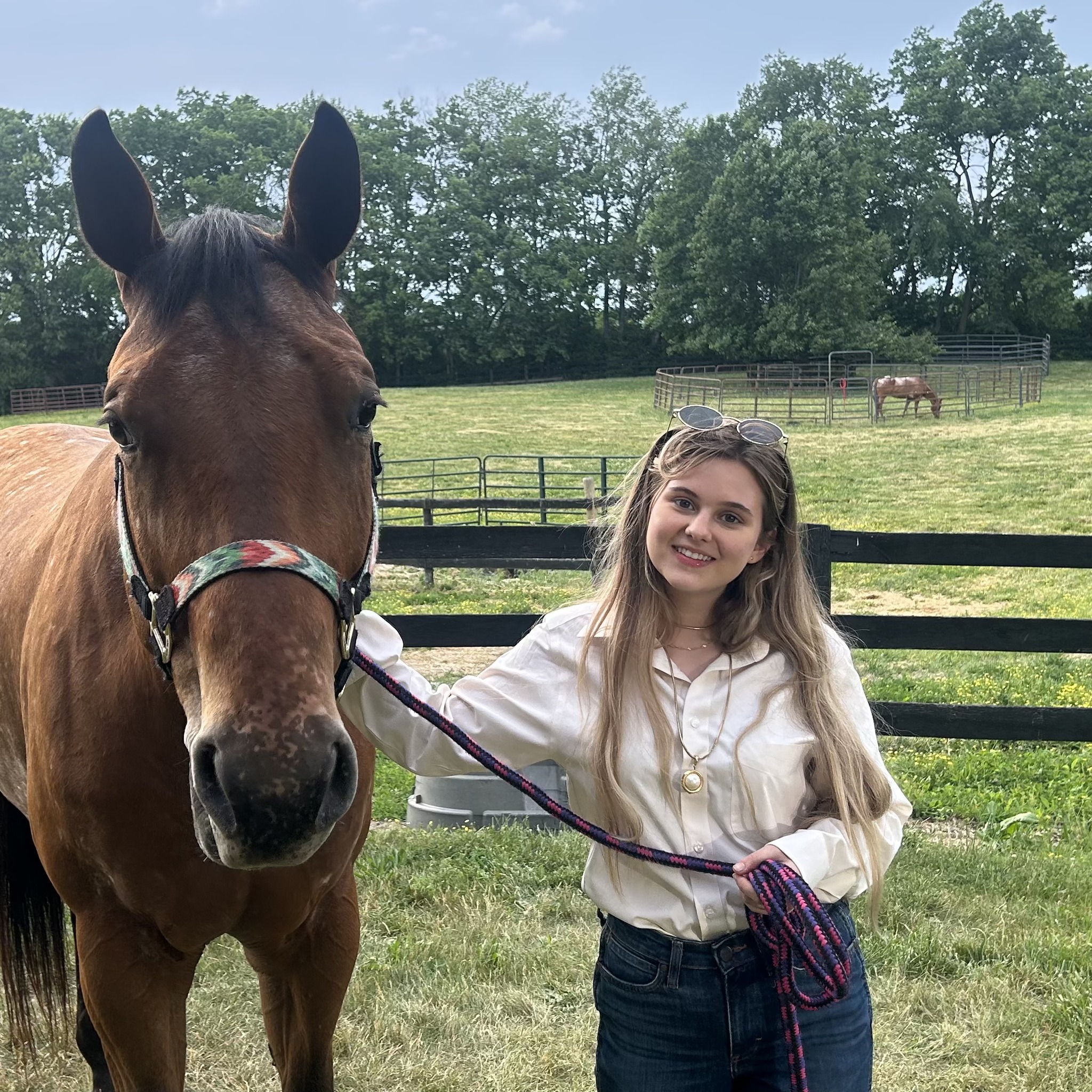 Great meeting with sound... - Cat Enright Mystery Horsewoman | Facebook