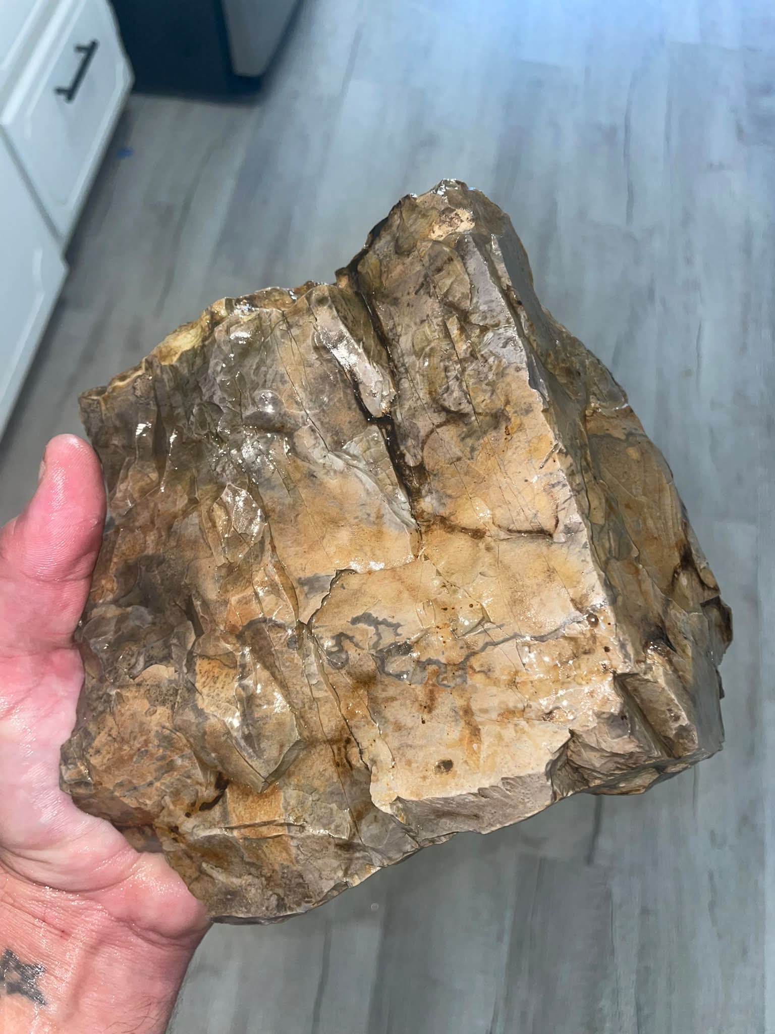A rock I found yesterday on a dirt road….jasper/chert?