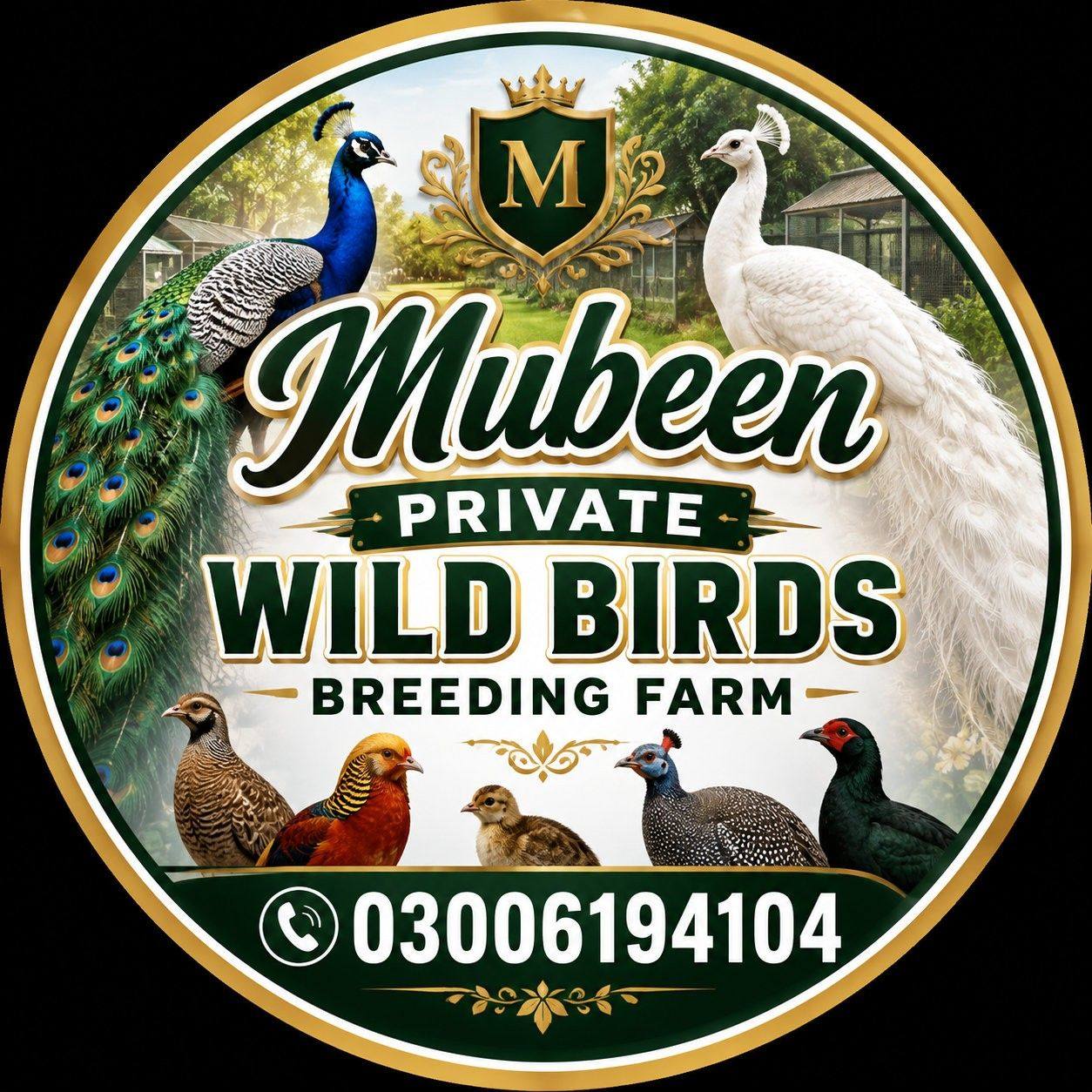 Mubeen Private Wild Birds Breeding Farm | Facebook