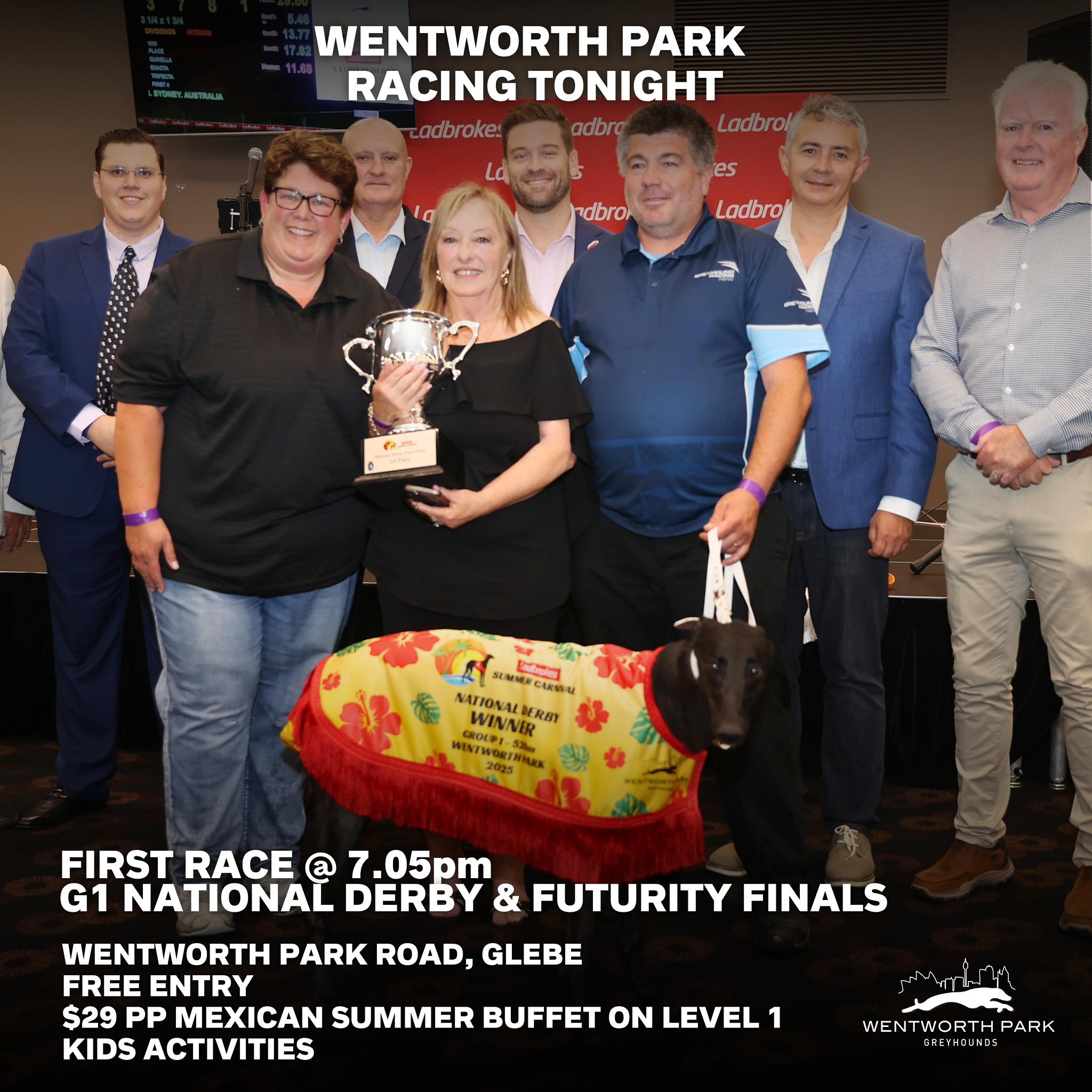 Wentworth Park Greyhounds