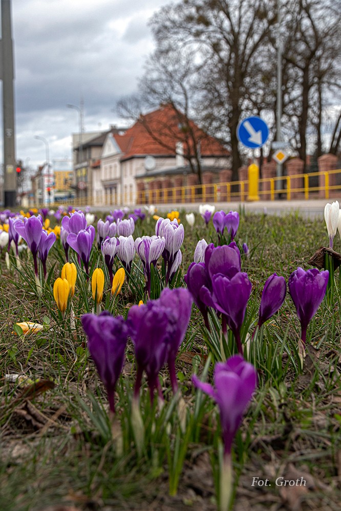 pruszcz-foto