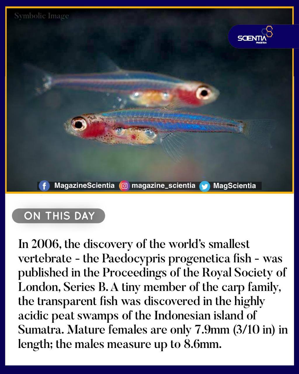 Scientia - #OnThisDay In 2006, the discovery of the world’s smallest ...