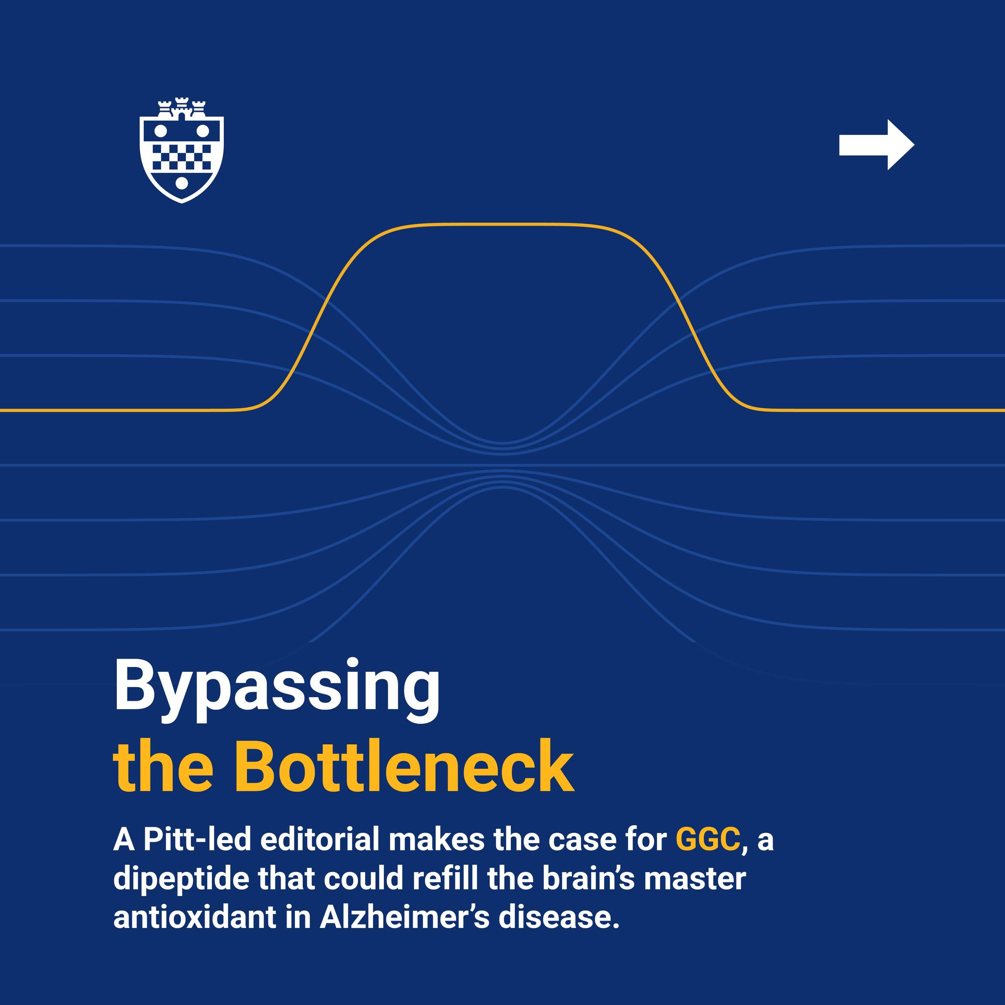 glutathione and alzheimer's disease In Alzheimer's, the brain runs low on glutathione, its master antioxidant, before plaques tangles appear. Refilling it is hard, since and NAC are barely absorbed. A new Pitt-led editorial makes PLACENTA WHITE ADVANCED SUPPLEMENT topical patch Package Size:2 oz (57 g)
