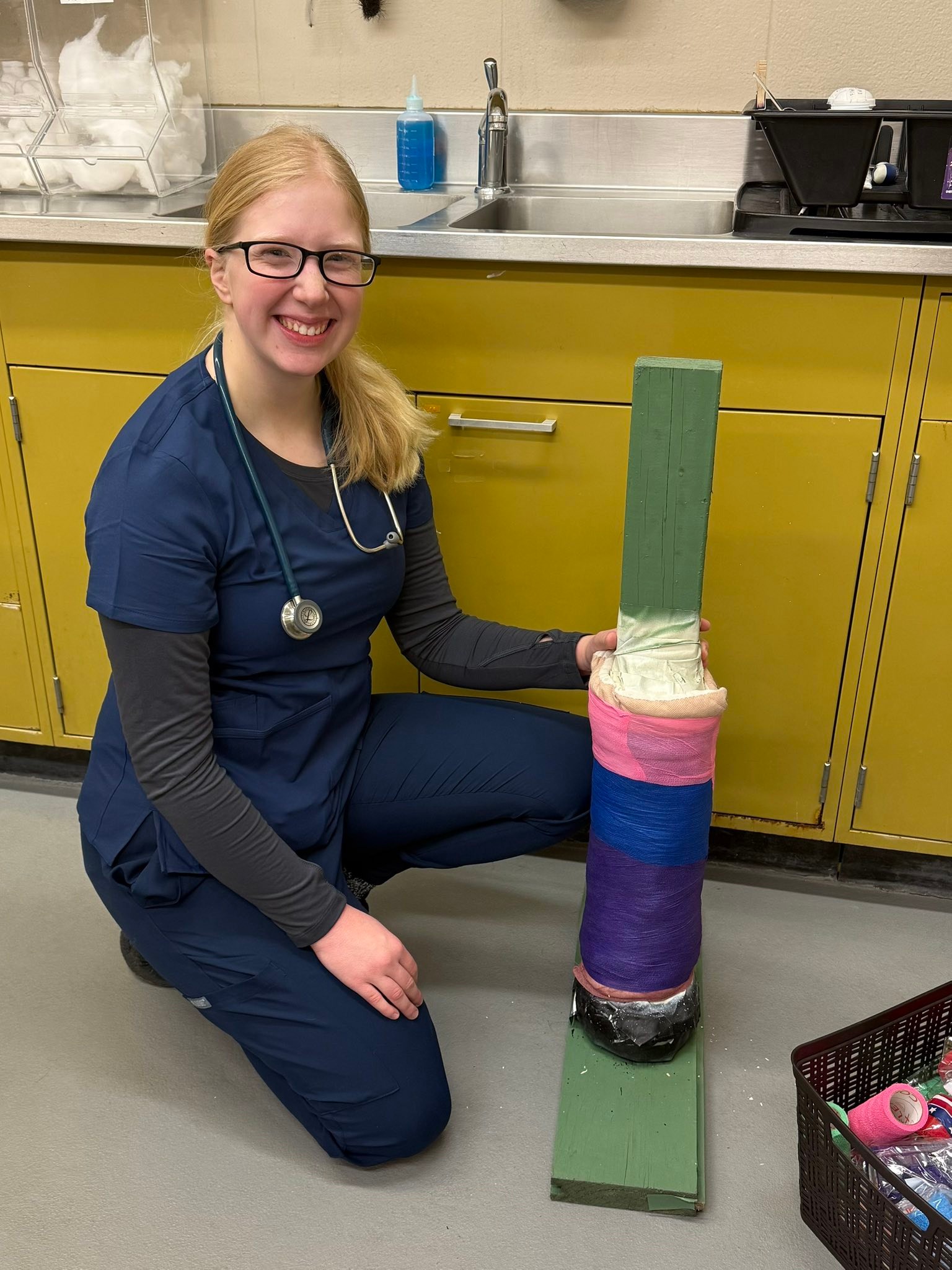 NDSU Veterinary Technology Program | Fargo ND