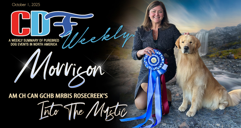 Canadian - CDF Weekly | Your Summary of Canadian Dog Events - https ...