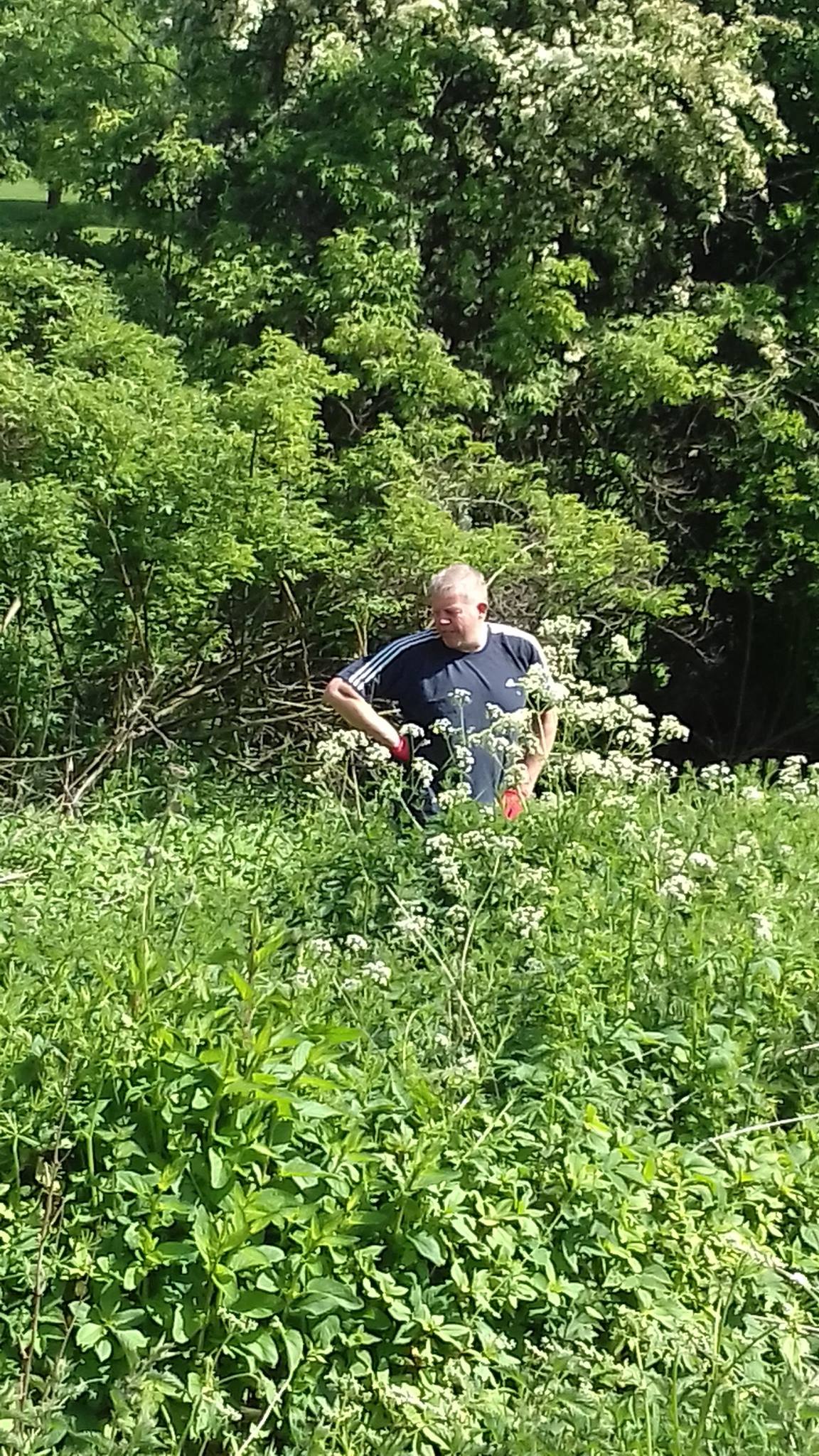 THE SPRINGHEAD PARK... - Leeds Parks and Countryside Service | Facebook