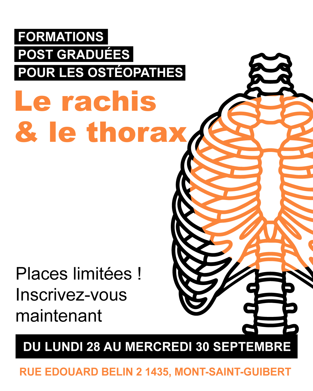 Lien Mécanique Ostéopathique - LMOE (@lienmecaniqueosteopathique