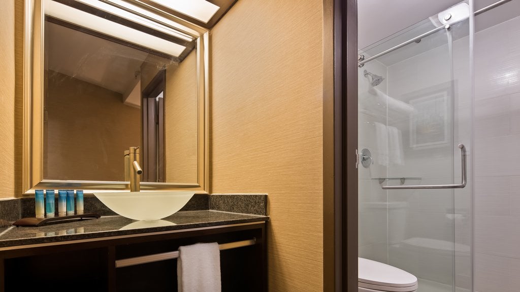 Radisson Hotel... - Radisson Hotel Southfield-Detroit