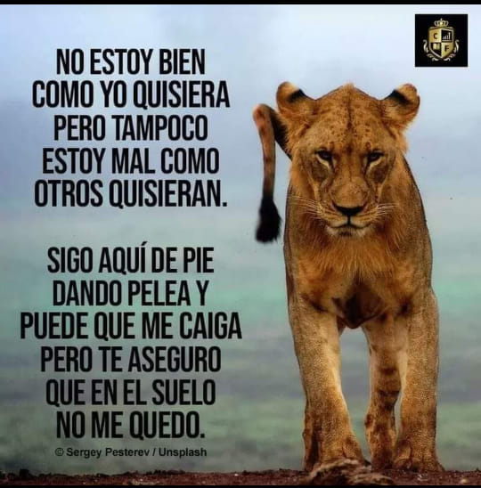 Reflexiones Y Frases Para Ti Posts Facebook He descubierto que me dejaste ir porque era demasiado para ti. reflexiones y frases para ti posts