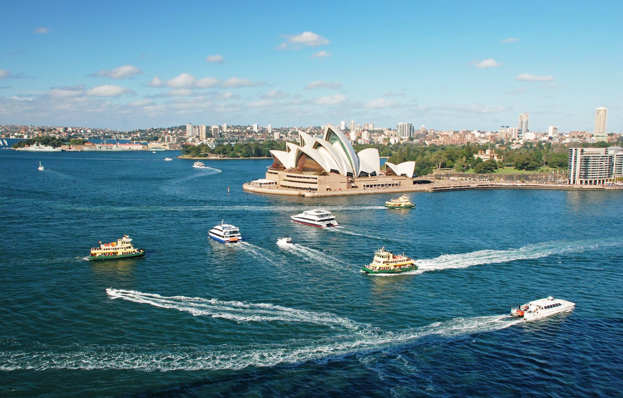 Sydney Things to Do - Viator