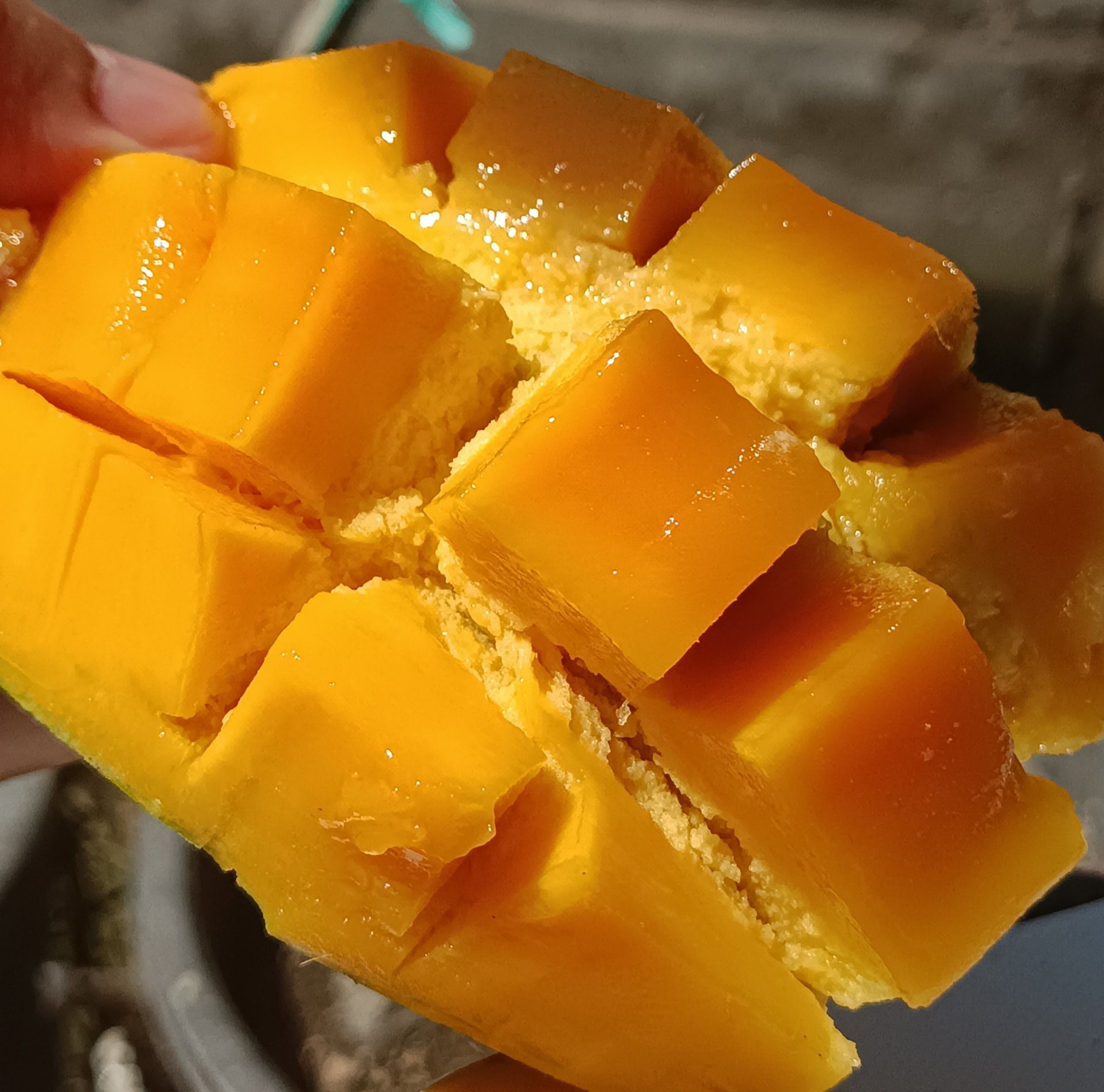 Sounds very crispy #mangoes #satysfying #asmr #cuttingfruits | RittiAyu