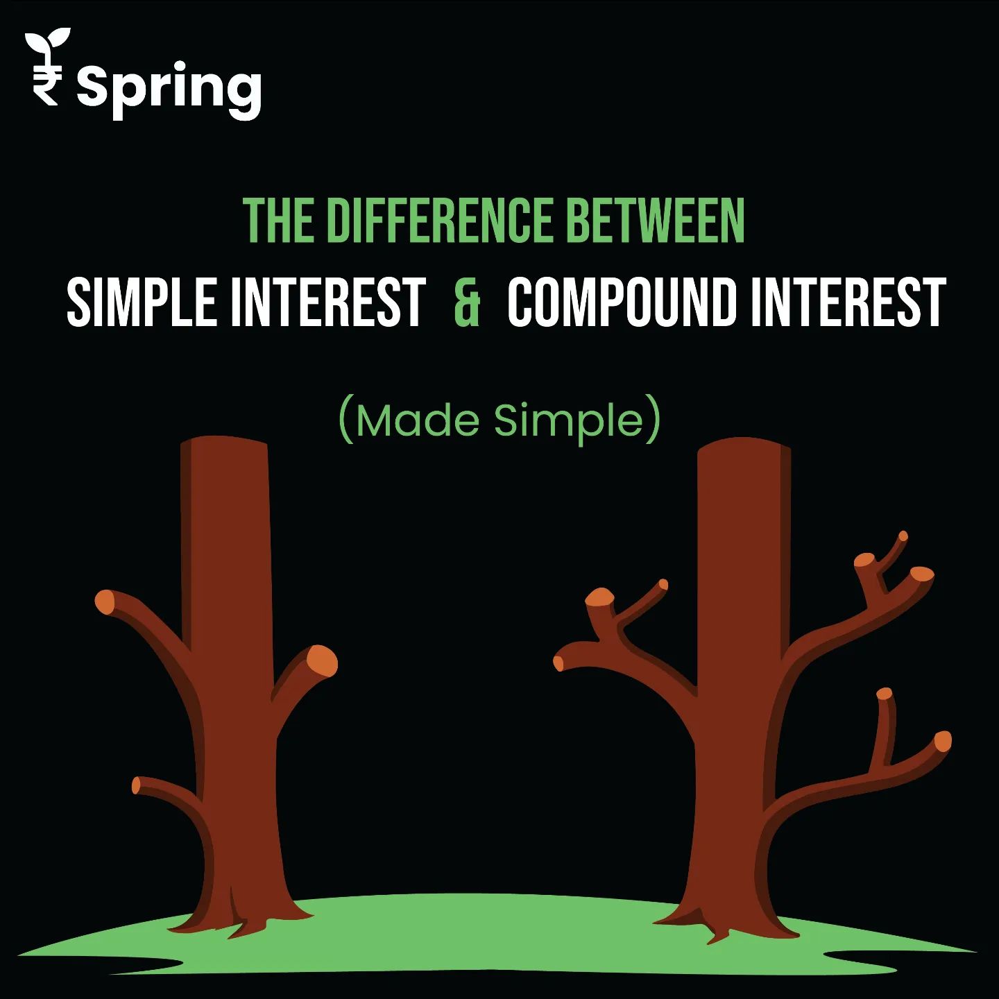 Spring Money - What's the difference? 🤔 Do you know the...
