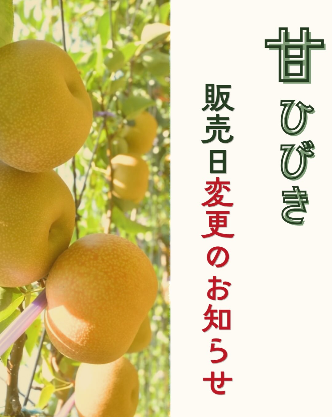 甘ひびき販売日変更について🗓️】 いつもでんまぁと安城北部をご利用