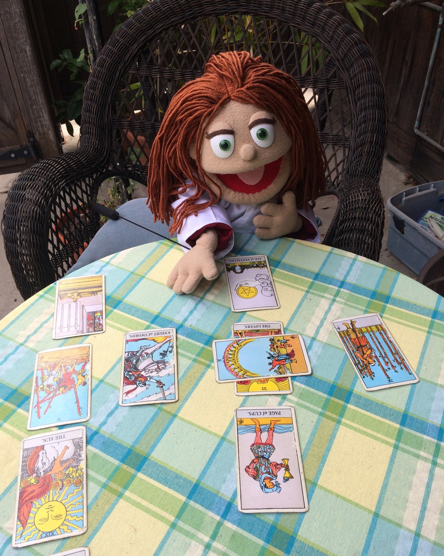 Dr. - Dr. Penelope is pulling cards and peeking into what 2026 has in ...