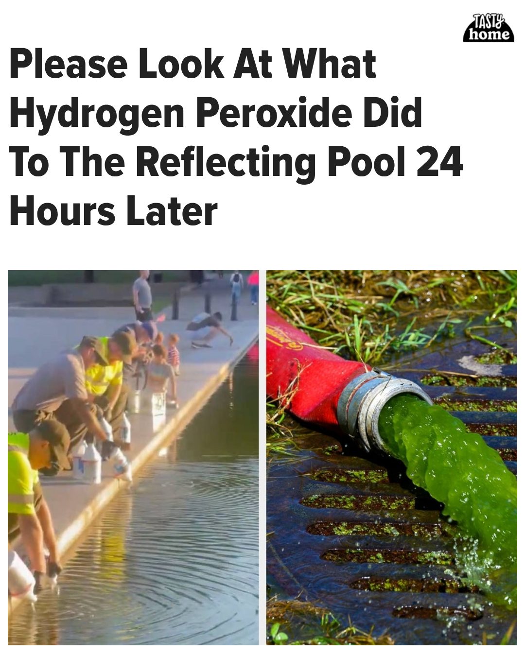 The Reflecting Pool is apparently in its artpop era. Read more