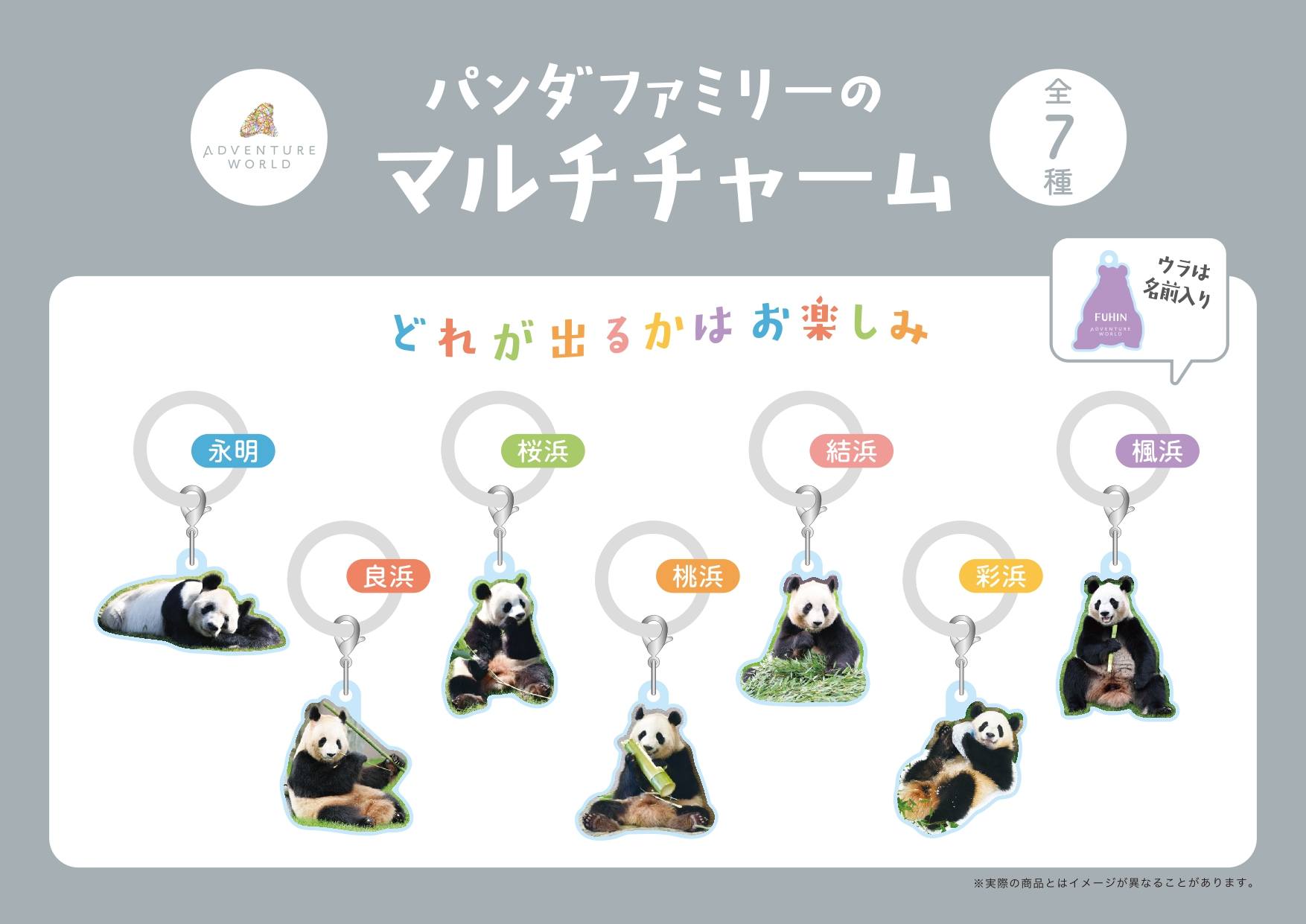 8月22日(土)より『PANDA JOURNEY』シリーズをはじめとするパンダ実写
