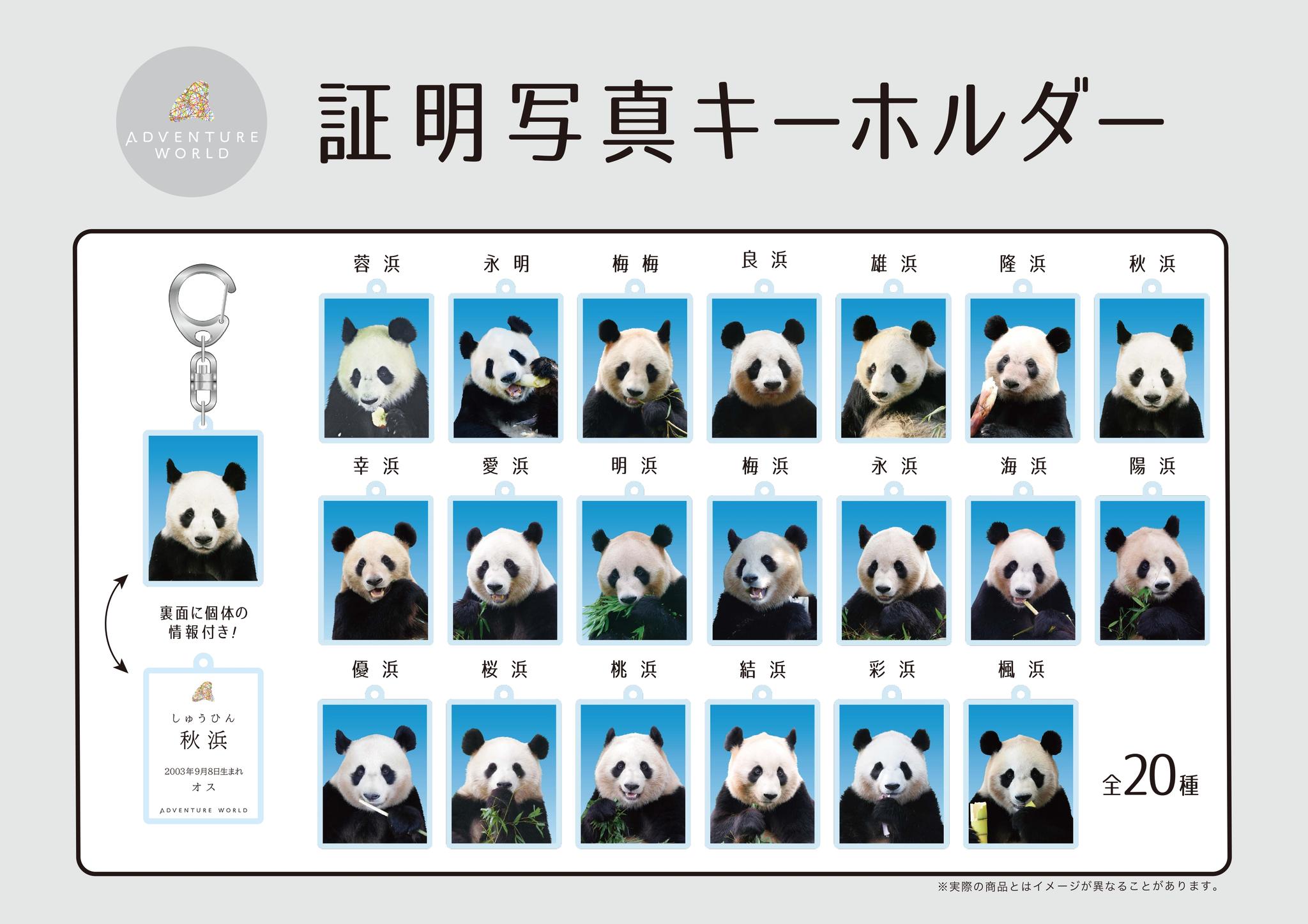 8月22日(土)より『PANDA JOURNEY』シリーズをはじめとするパンダ実写