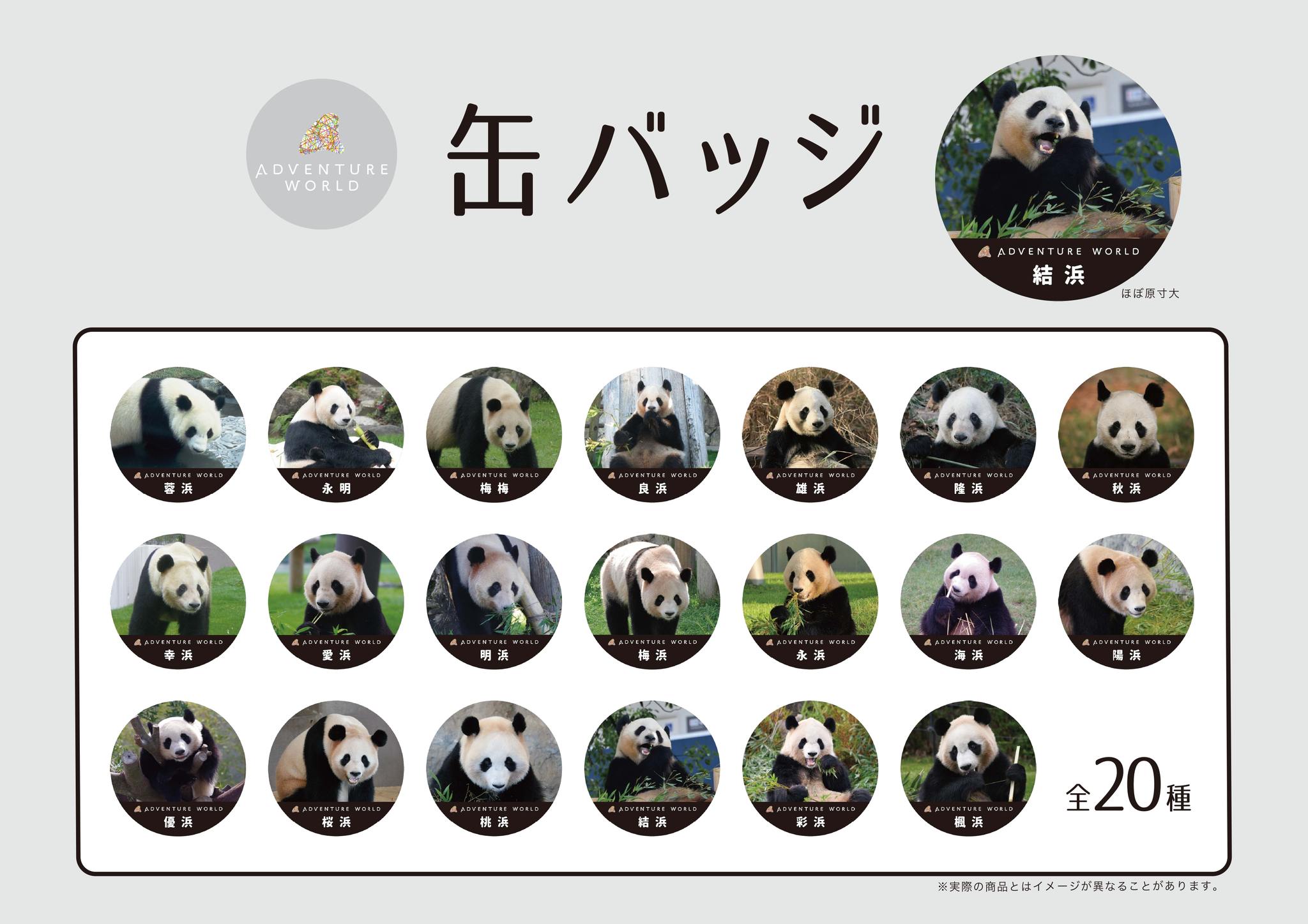 全8種♦️ブラインド♦️アドベンチャーワールド アクスタ パンダ 良 結 彩 楓浜 8月22日(土)より『PANDA JOURNEY』シリーズをはじめとするパンダ実写
