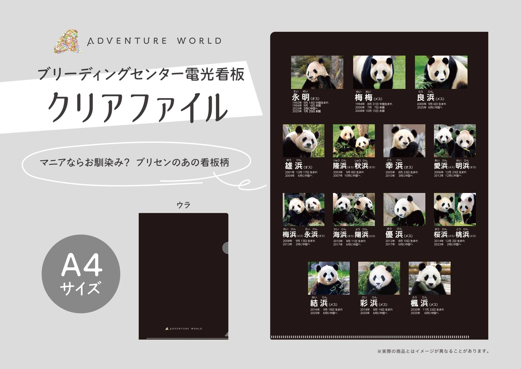8月22日(土)より『PANDA JOURNEY』シリーズをはじめとするパンダ実写