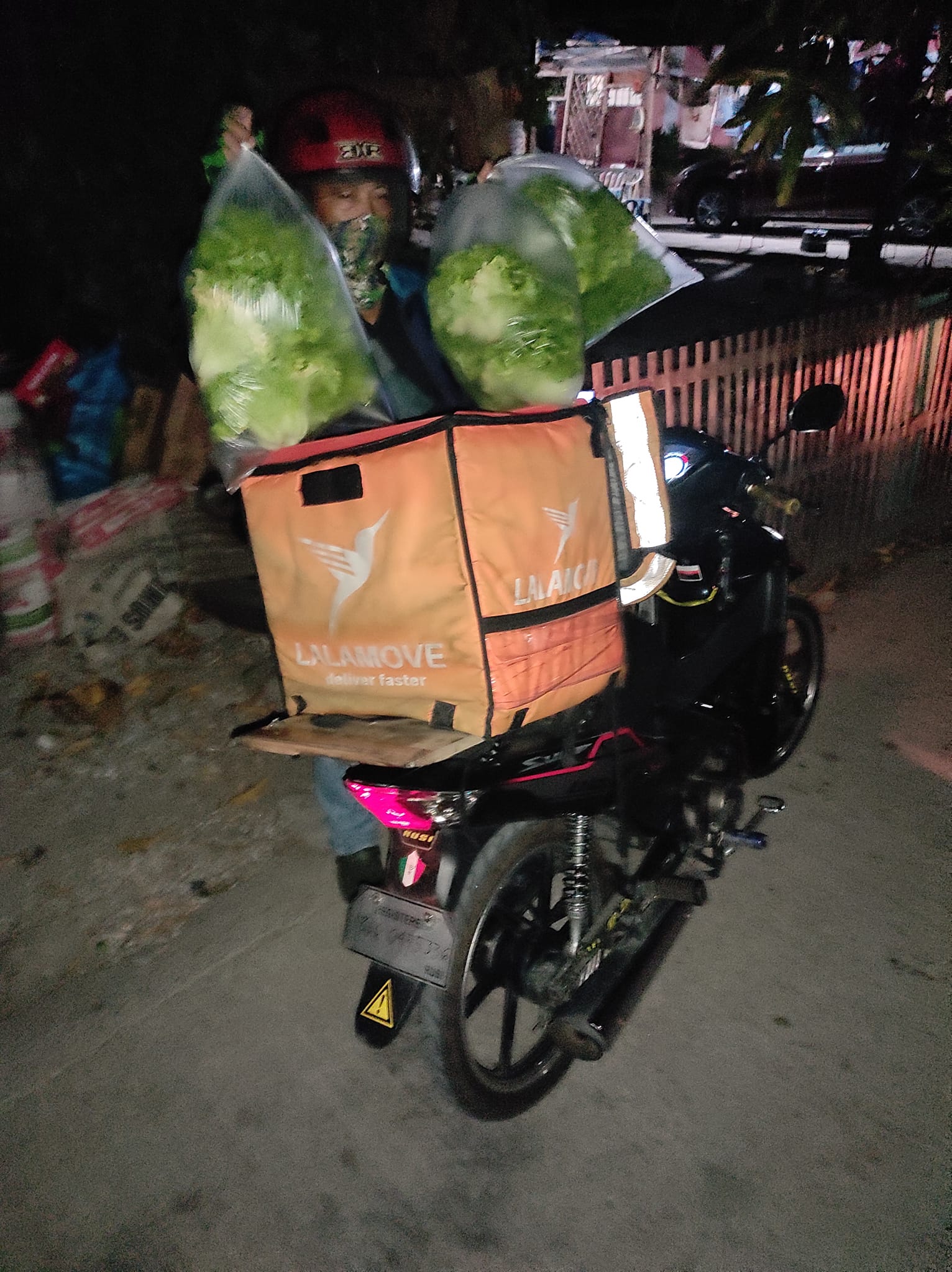 The Green Thumb Hydroponics Farm | Imus