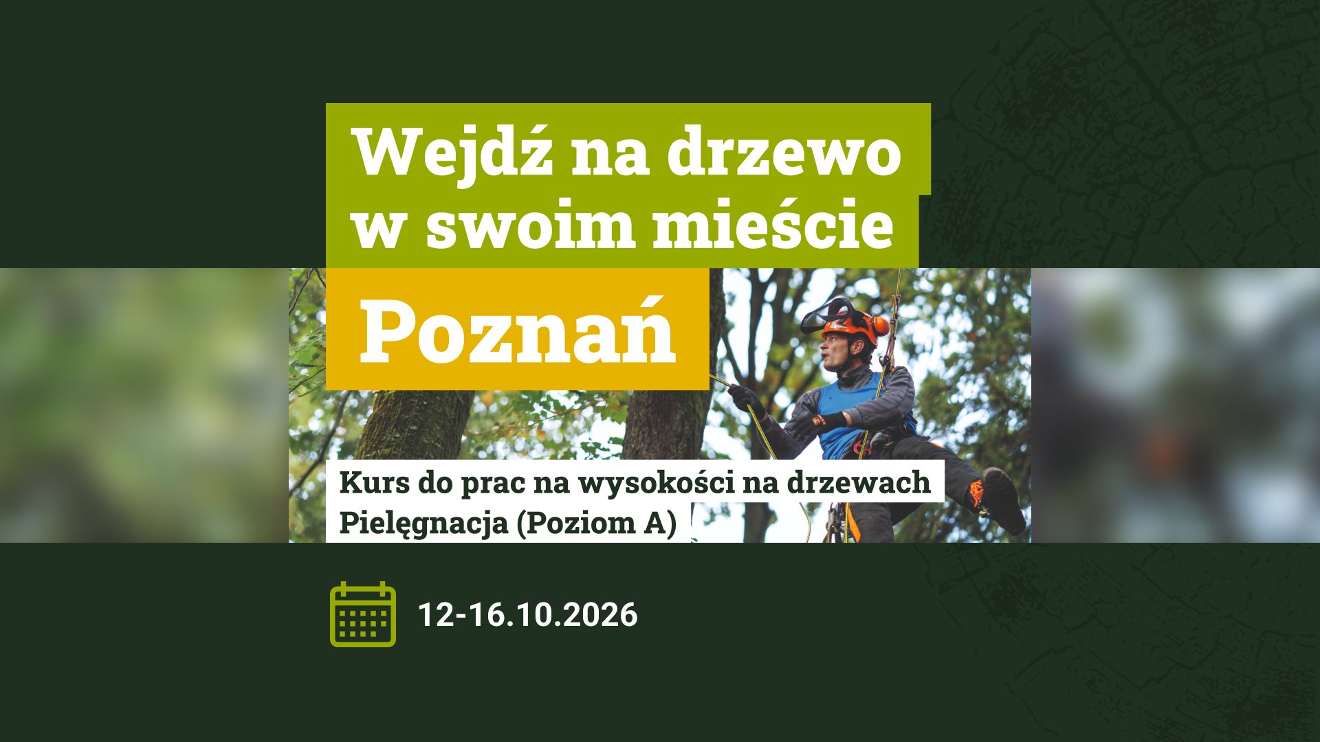 POZNAŃ – KURS ARBORYSTYCZNY POZIOM A