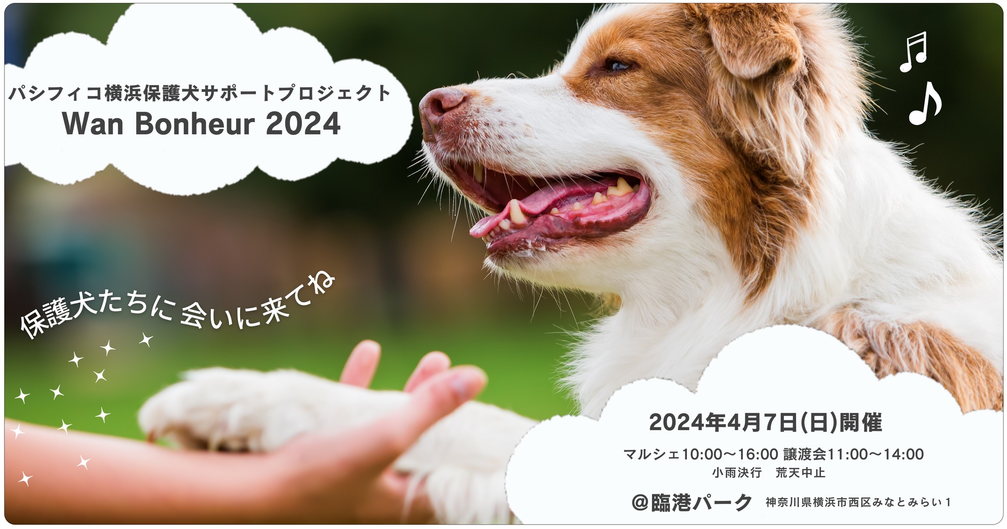 パシフィコ横浜保護犬サポートプロジェクト Wan Bonheur 2024