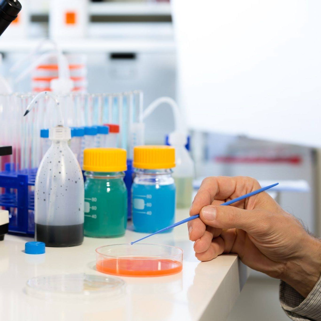 Jkfood Quality Lab