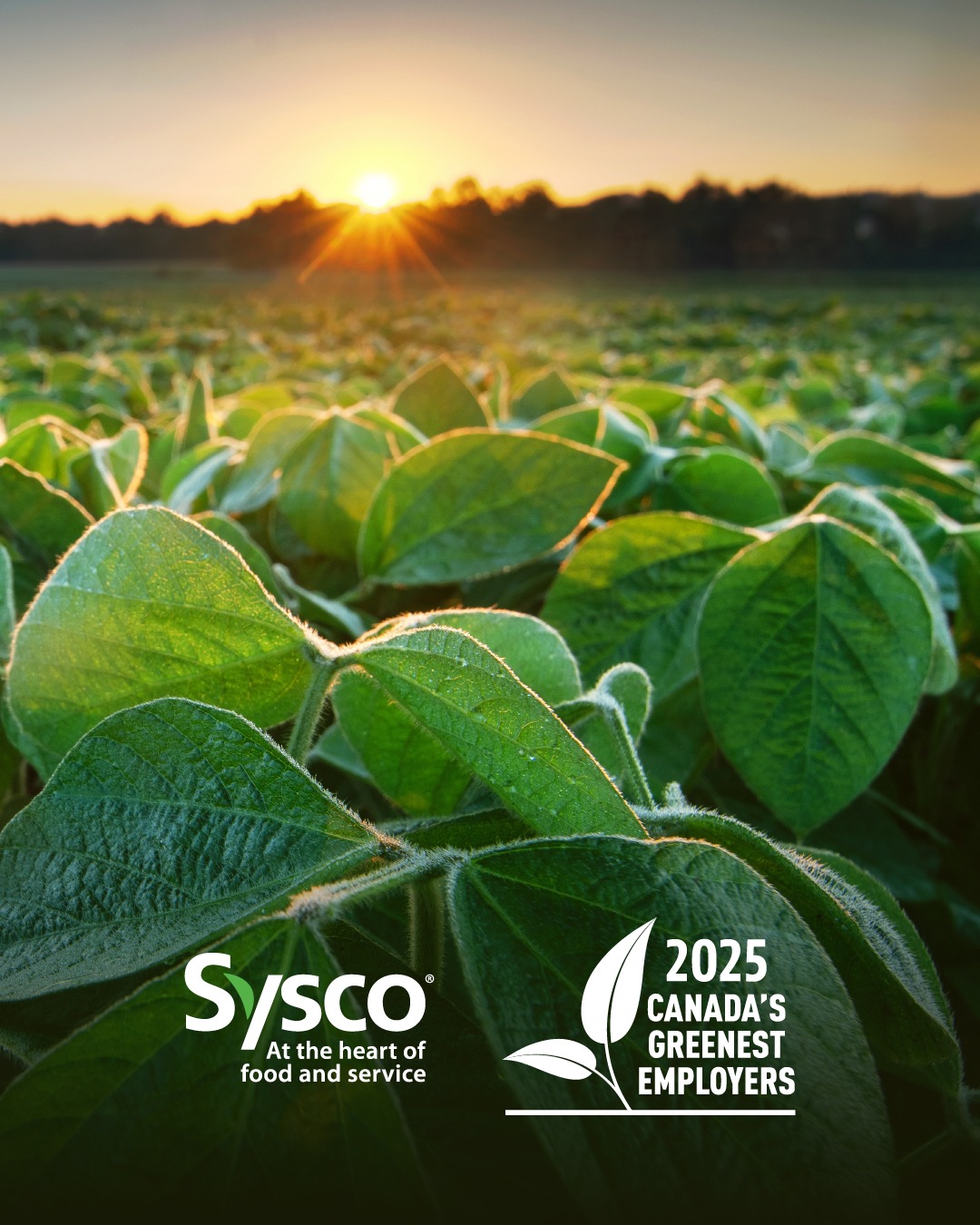 Sysco - Sysco Canada is thrilled to be named one of Canada’s Greenest ...
