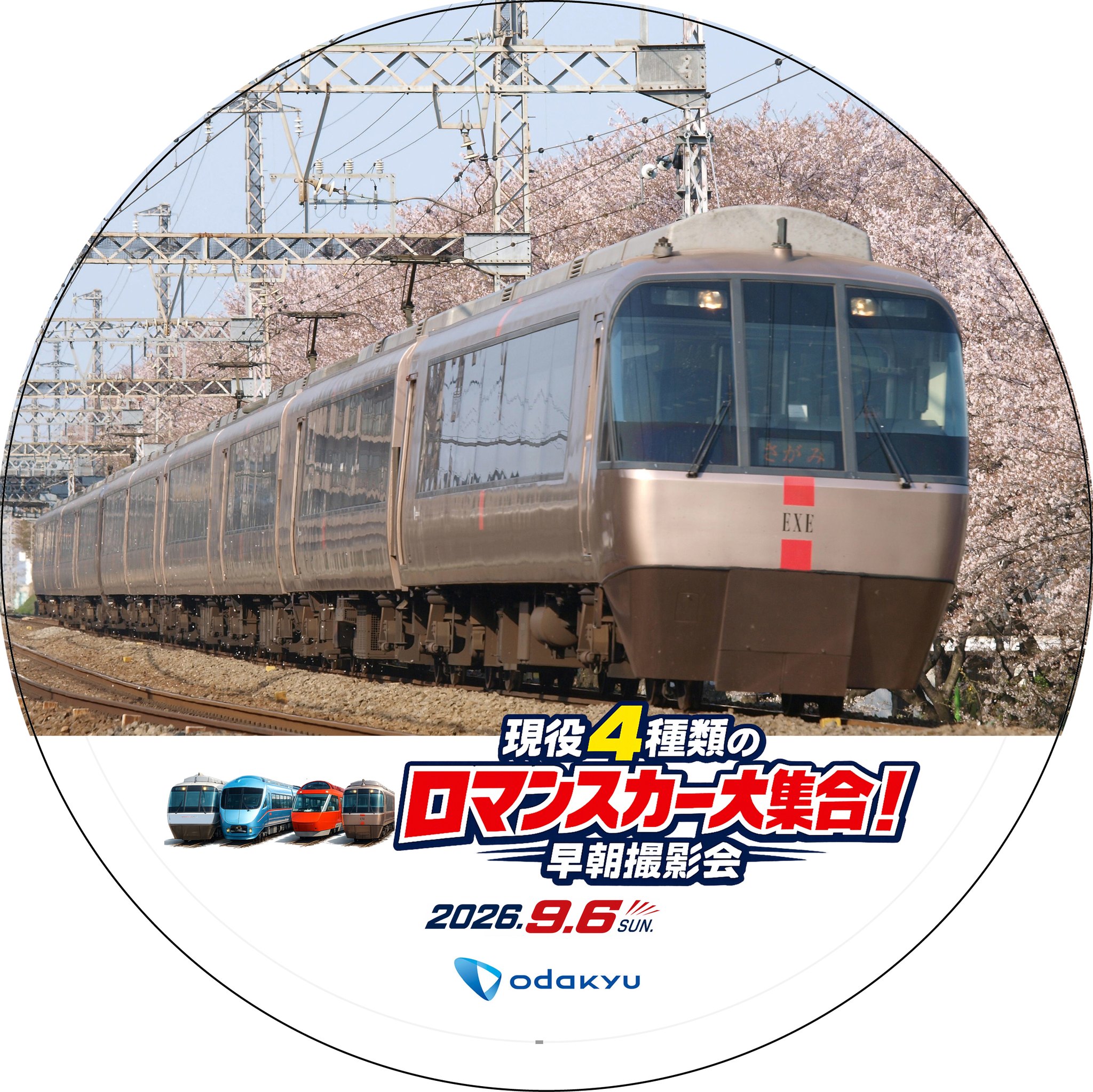 小田急ロマンスカー ラストラン 10000系 20000系 2012年 記念品 小田急ロマンスカー - 2012年3月16日（金）のラストランに向けて、3