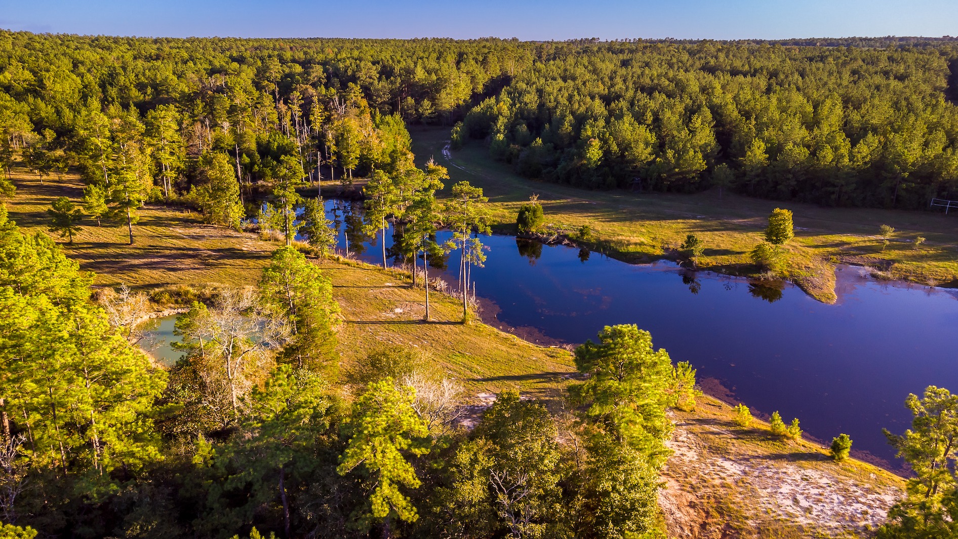 Texas - Duck Lake Ranch ⎮ 227± Acres Duck Lake Ranch is a rare 227± ...
