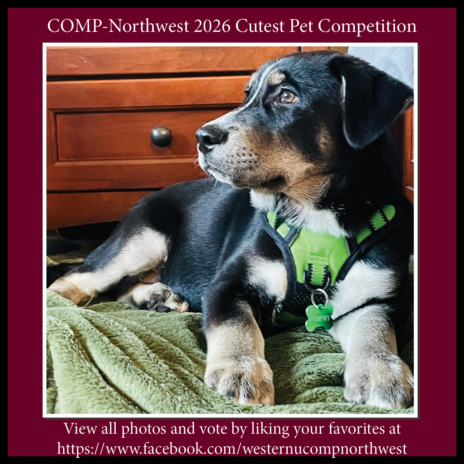 WesternU COMP Northwest added a... - WesternU COMP Northwest