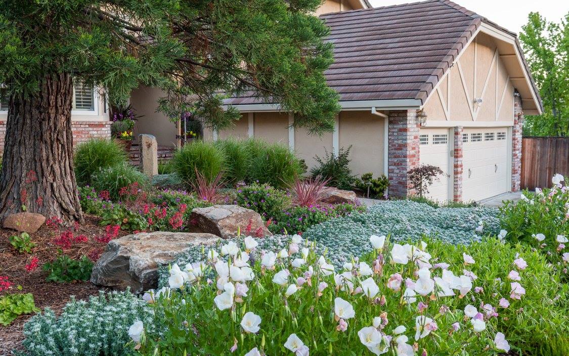 Garden Nest Residential Landscape Design | Orinda CA