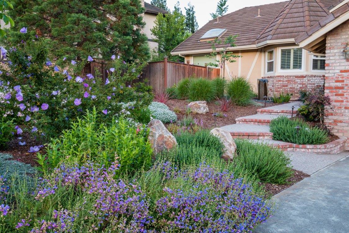 Garden Nest Residential Landscape Design | Orinda CA