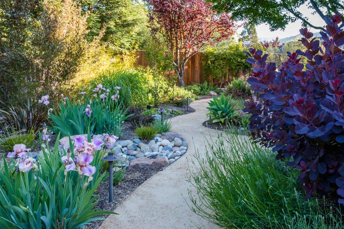 Garden Nest Residential Landscape Design | Orinda CA