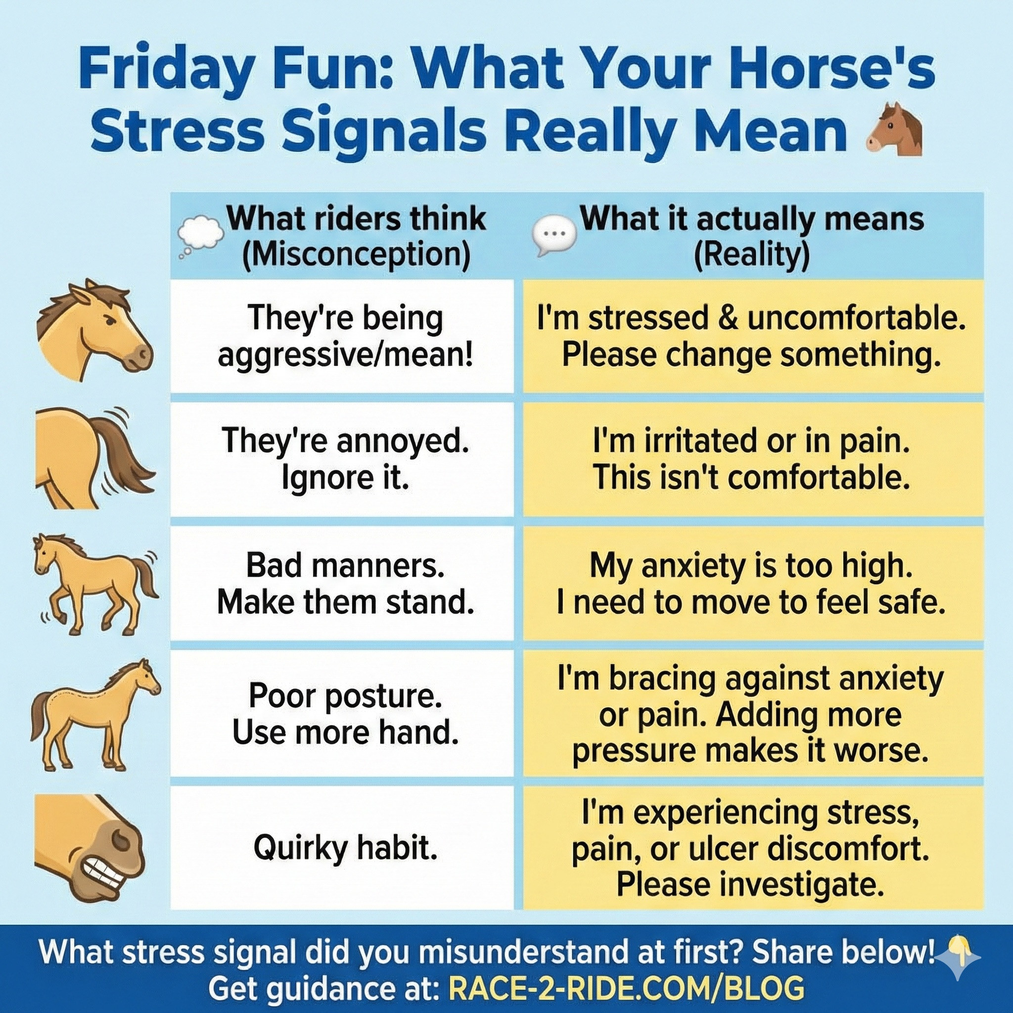 A valuable resource from Kandoo... - Pony Club Australia | Facebook