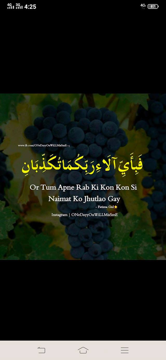 Najaf Ali