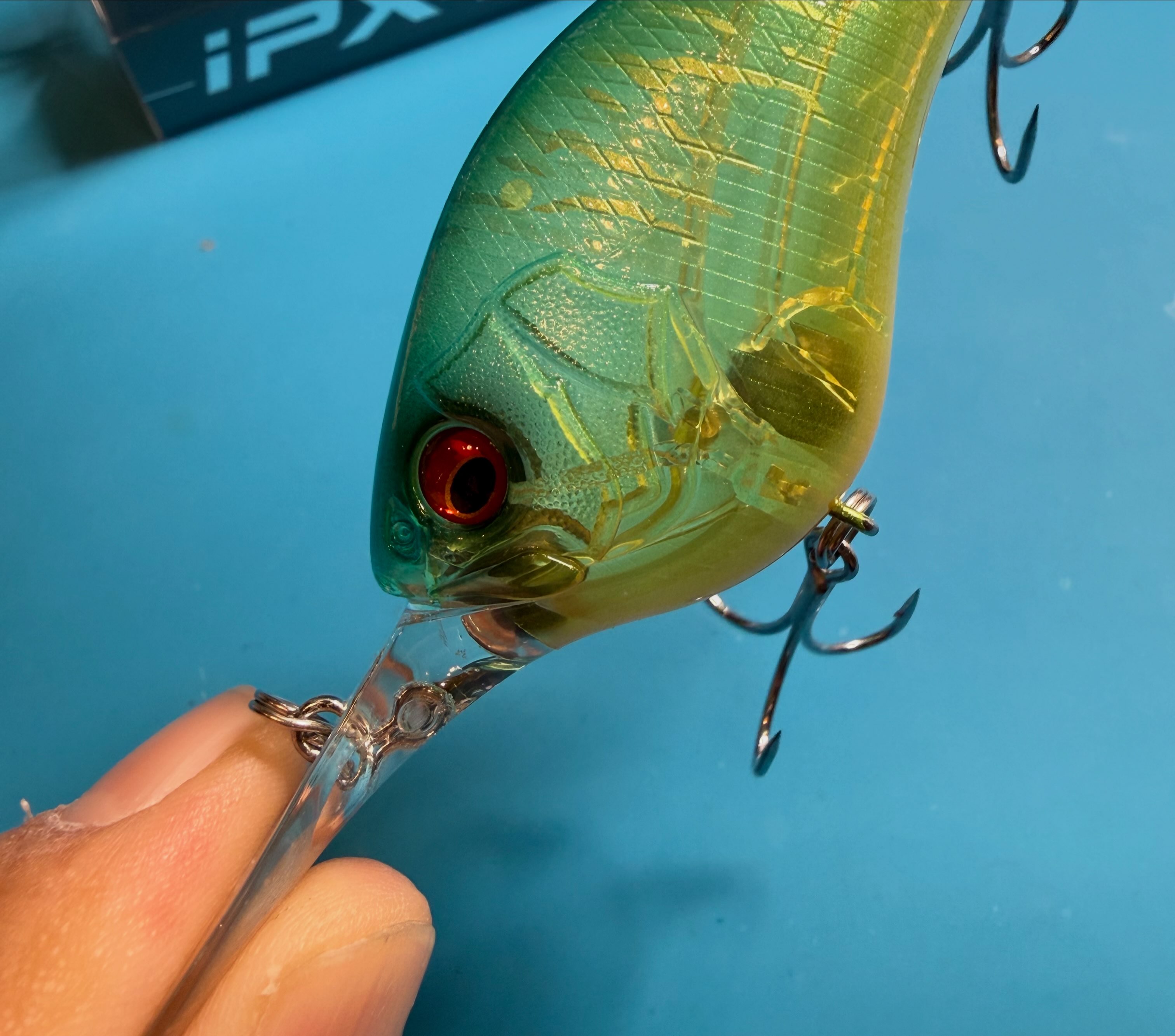 The Strike Skate&Tackle - The Strike Skate&Tackle Shop