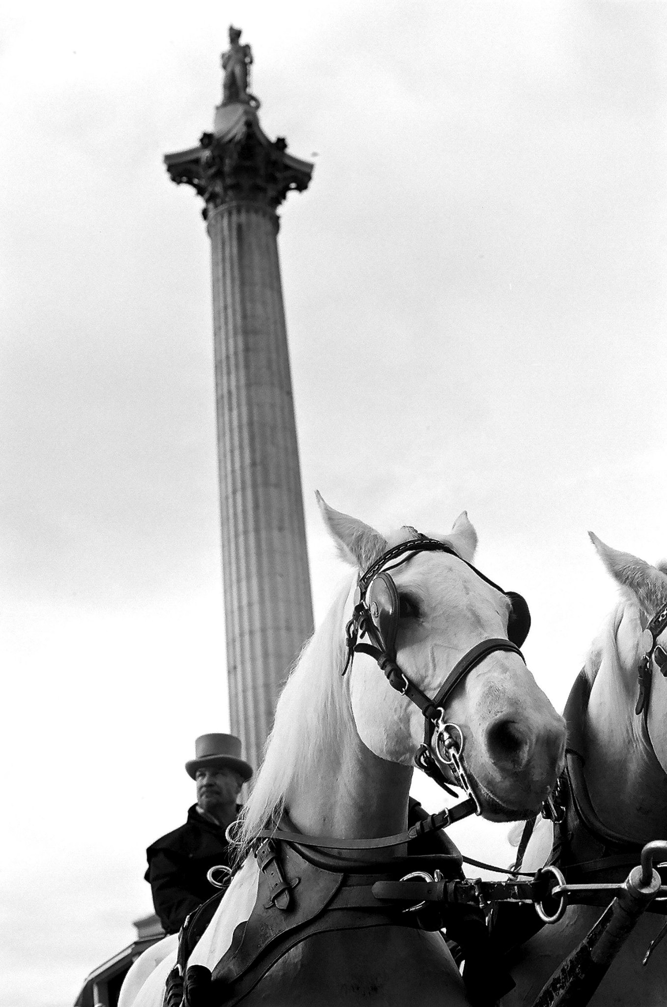 London by Tom Rothery