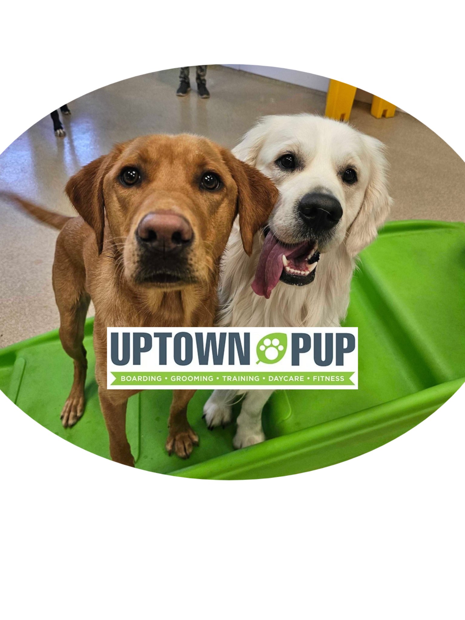 Uptown Pup - Super excited about tomorrow's Spooky Strut... | Facebook