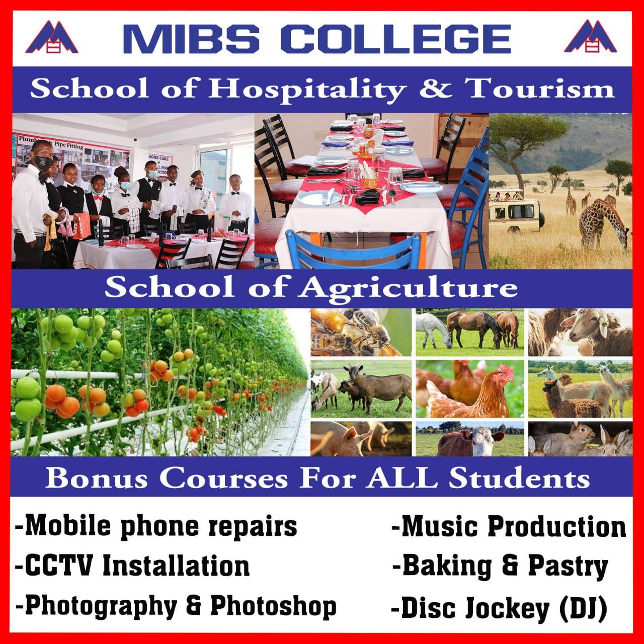 Meru Institute of Business Studies | Meru