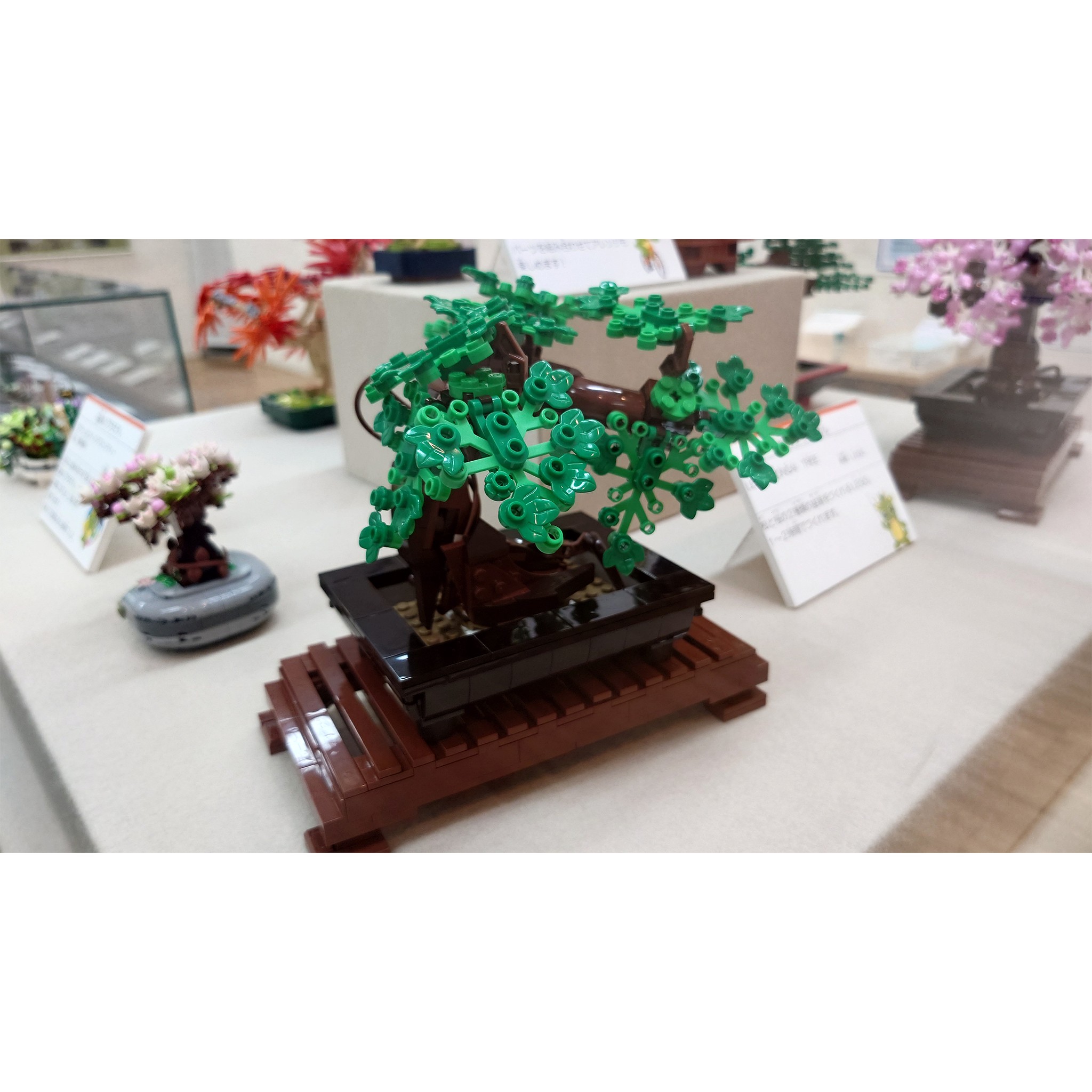 現在の展示 Current Exhibition 貴船糸掛石 銘「起雲」 京都貴船川に産