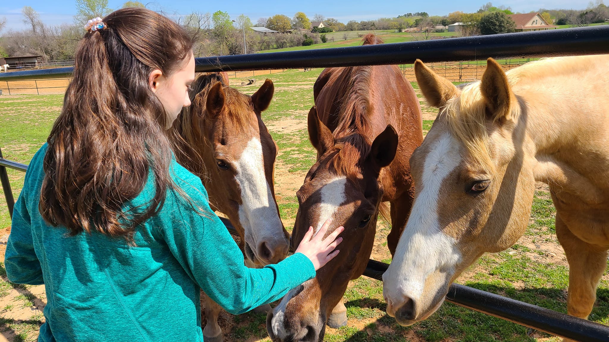 Lobos Horse Ranch & Stables | Mansfield TX