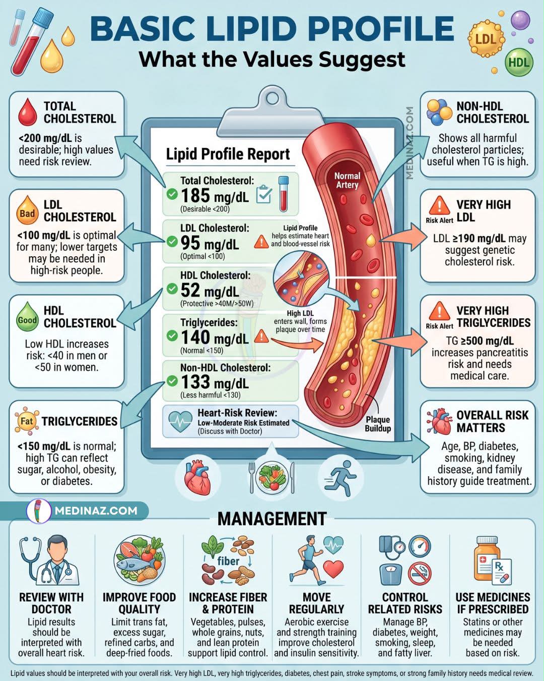 Understanding lipid profiles: LDL, HDL, and triglycerides functions