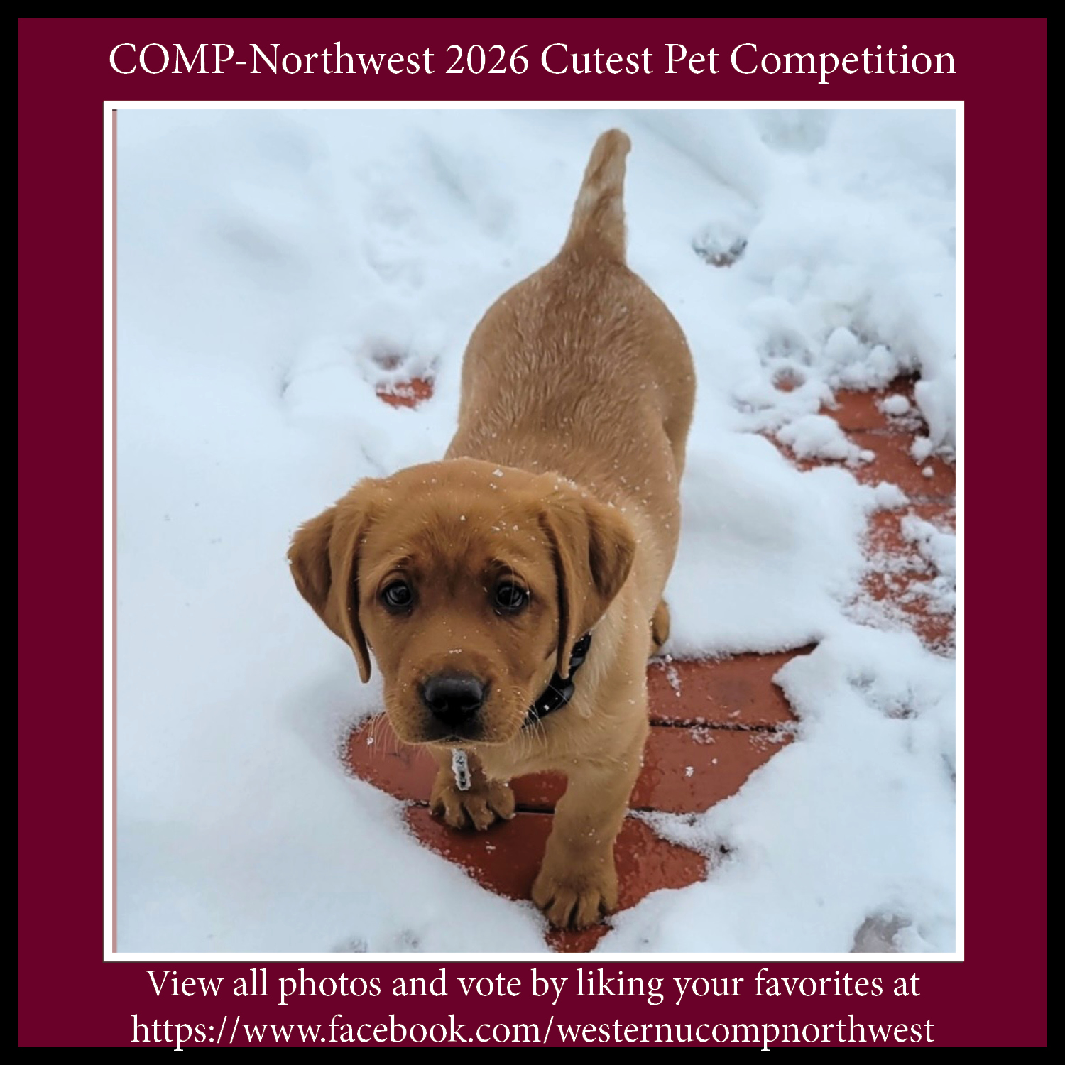 WesternU COMP Northwest added a... - WesternU COMP Northwest