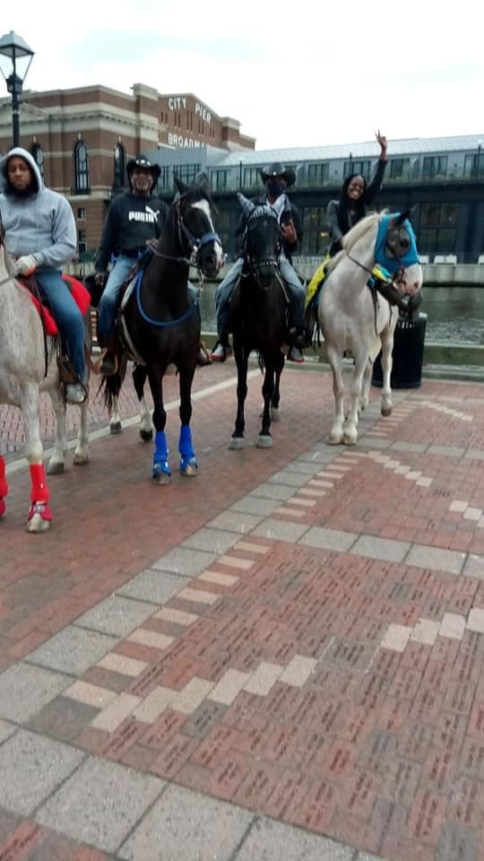 Carlton Street Stables | Baltimore MD