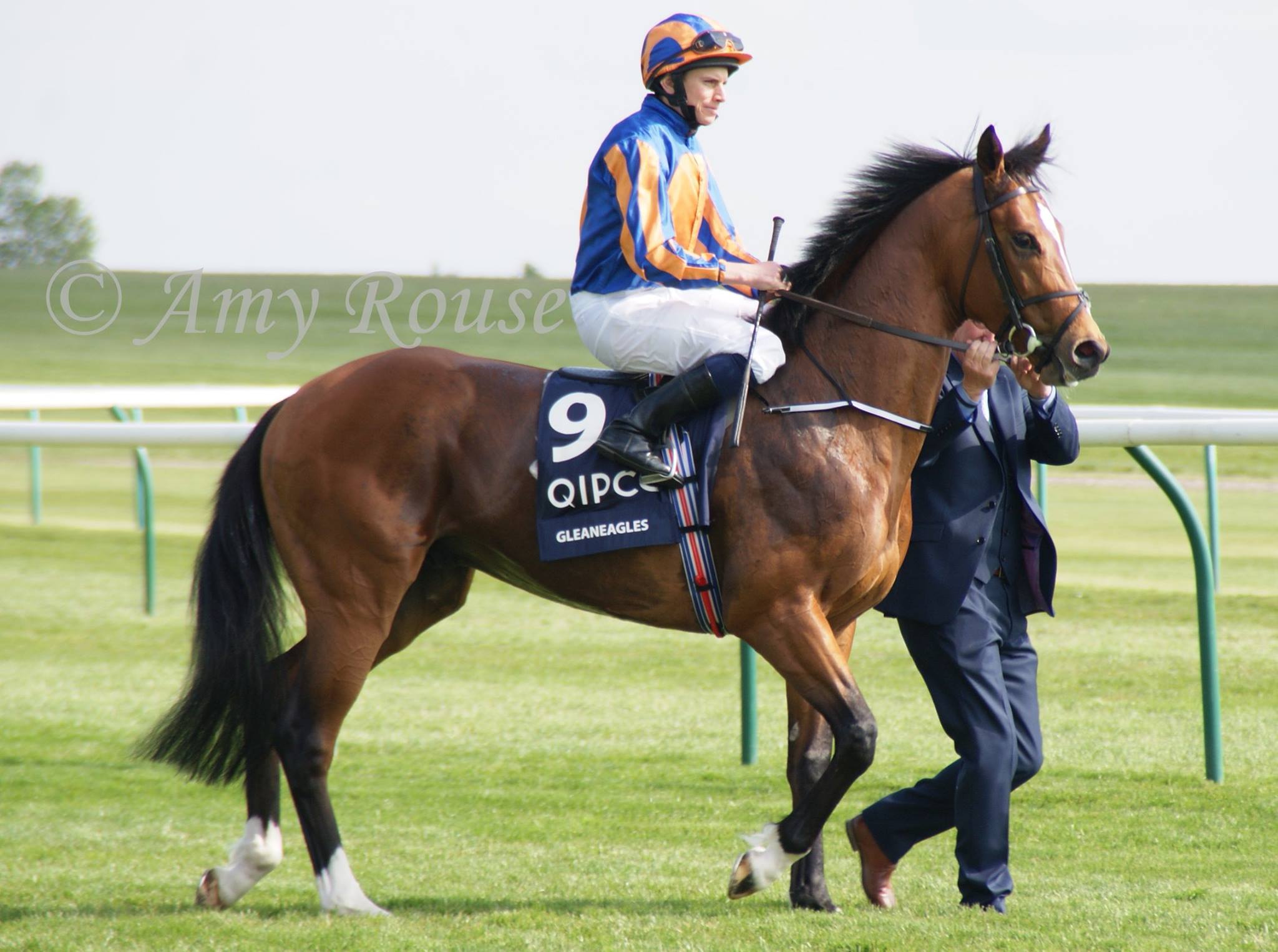 Amy Rouse Horse... - Amy Rouse Horse Racing Photography