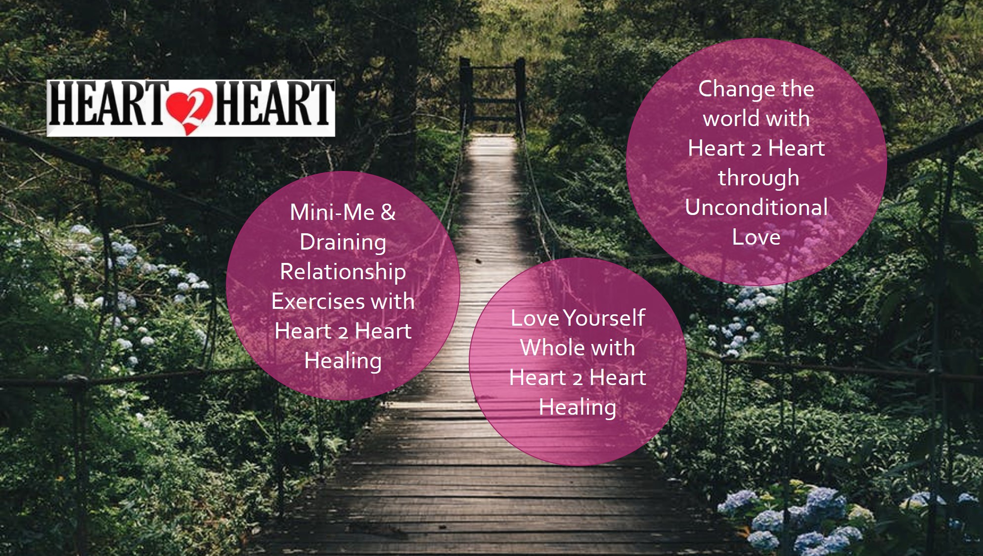 Heart 2 Heart Programs