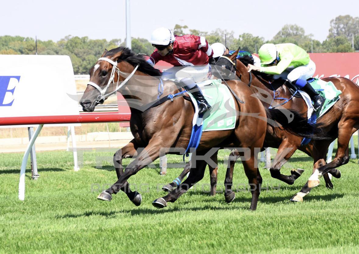 Wangaratta - 4 in a row for Brenlyn’s Legacy 🔥 Trained by Andrew Dale ...