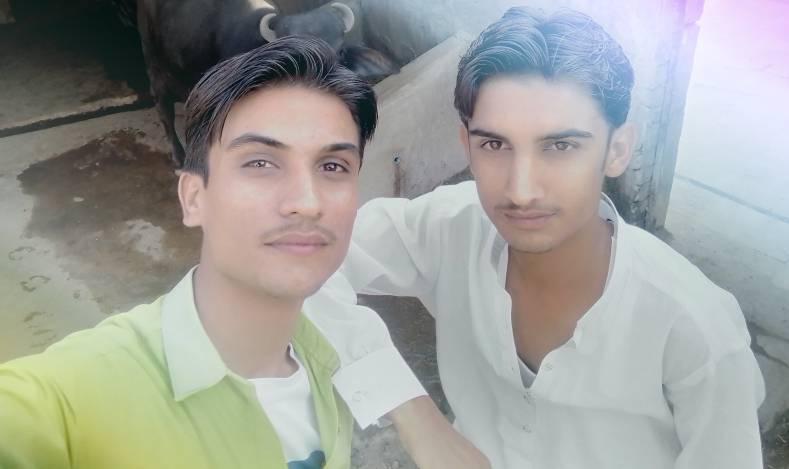 Riyasat